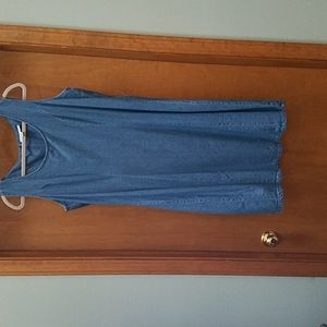 Woman Within Jean Dress